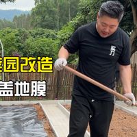 为了让全家人吃上一口放心菜，我用600斤稻壳自制肥料养土！