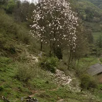 大屋脊｜江油大屋脊重装徒步踩坑攻略