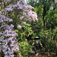 宁波秘境！晴江岸琉璃山环线，徒步+露营一站式治愈周末