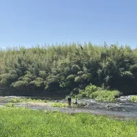 德清带娃过夜露营｜20元两天一夜！竹林溪流挖