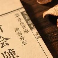 新手必看新会陈皮冲泡技巧 九妹陈皮这样泡超好喝