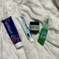 一些狗狗刷牙心得