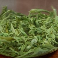 谁说碧螺春非得是洞庭的？广西这杯嫩芽，一口喝掉春天