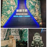 闭展在即，河博玛雅展值不值得看？