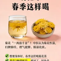 菊花茶 春季这样喝