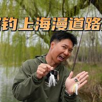探钓上海漫道路亚
