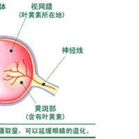 3-12岁孩子叶黄素怎么选？10款实测后，真实排名真心建议收藏