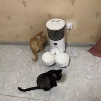 喵享家全新Pro喂食器｜打工人养宠彻底解放双手✨