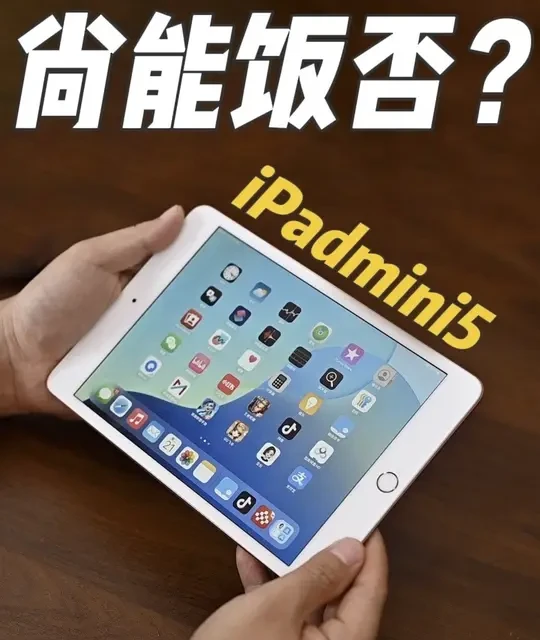 发布七年不到500元，iPad mini 5二手市场表现分析