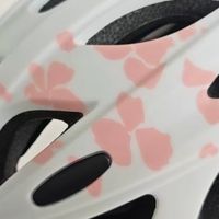 洛克兄弟头盔：百元磁吸风镜