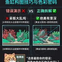 别再把石头放正中间了！新手必看造景构图法