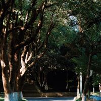 闭眼入不踩雷！《鬼灭之刃》祢豆子三款手办终极实测对比，800元内也能还原动画神韵