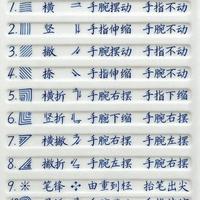 练字别再瞎描红了!4天控笔训练,帮你告别抖手、歪线