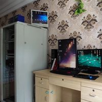 垃圾佬的独有快乐