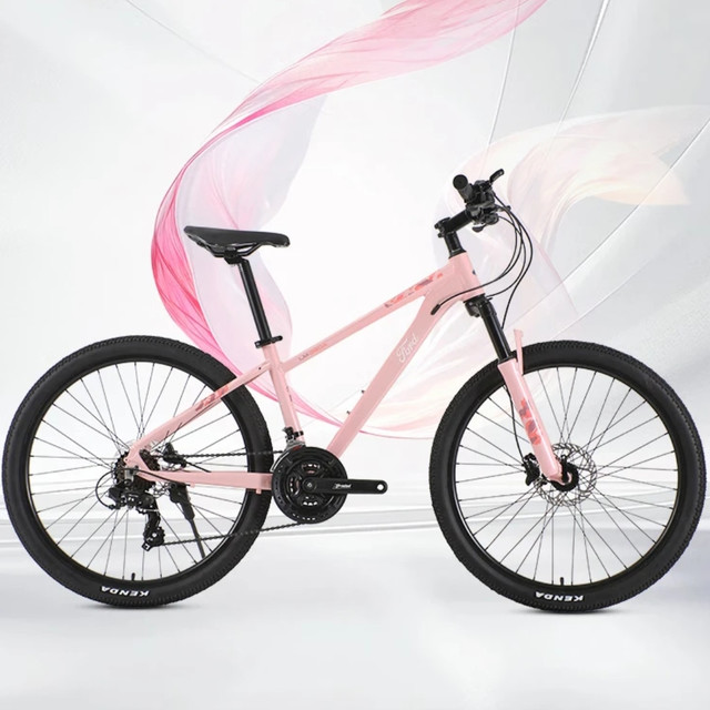 我的骑行好搭子｜福特24速山地代步单车