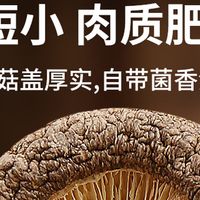 珍锦荟有机香菇 180g｜山珍级鲜香，有机品质安心吃