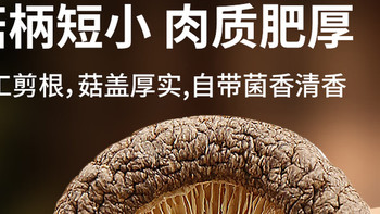 珍锦荟有机香菇 180g｜山珍级鲜香，有机品质安心吃