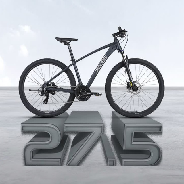 我的骑行好搭子｜喜德盛山地车，追风去