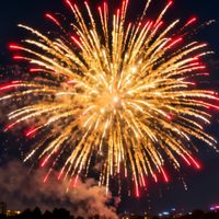 新手闭眼入！手机拍烟花封神秘诀：不用三脚架也能出大片