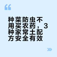 不用花钱买农药！3个家常土配方，种菜防虫干净又好用
