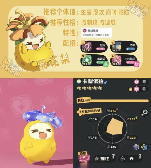 真爱精灵PVE 005——菊花梨一图流