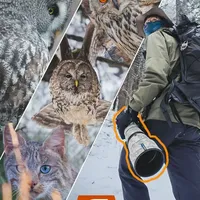 生态摄影器材轻量化选择：索尼FE 300mm F2.8 GM实战解析