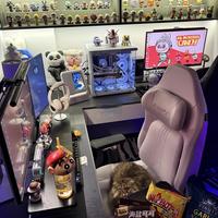 没错，这就是520不用出门约会的家