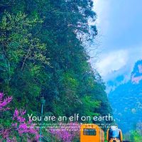 追风旅行的快乐🎊带娃畅游张家界的实用装备