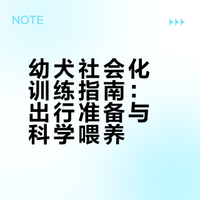 出门社会化｜幼犬出门必备清单