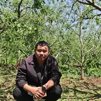昭通苹果冰雹灾后管理方案：清理、修复与水肥调控