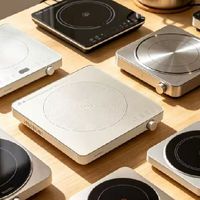 电磁炉哪个牌子好？深挖参数虚标痛点，真实测评10大靠谱机型清单