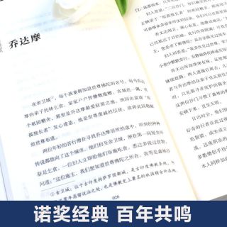 黑塞笔下的自我探寻之路 悉达多：一个人的修行地图