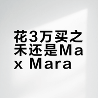 花3万 买之禾，还是买max mara？