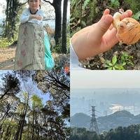 南山（春天岭）5km小环线亲子徒步超详细攻略