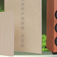 专业音箱板材，凭什么选择桦木多层板？