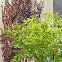 ✨ 携娃漫游长沙，把日子过成温柔晚风