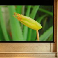 大客厅怎么能缺少巨屏IMAX 3D影院呢！