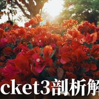 📷大疆Pocket3参数设置+24小时场景使用LUT