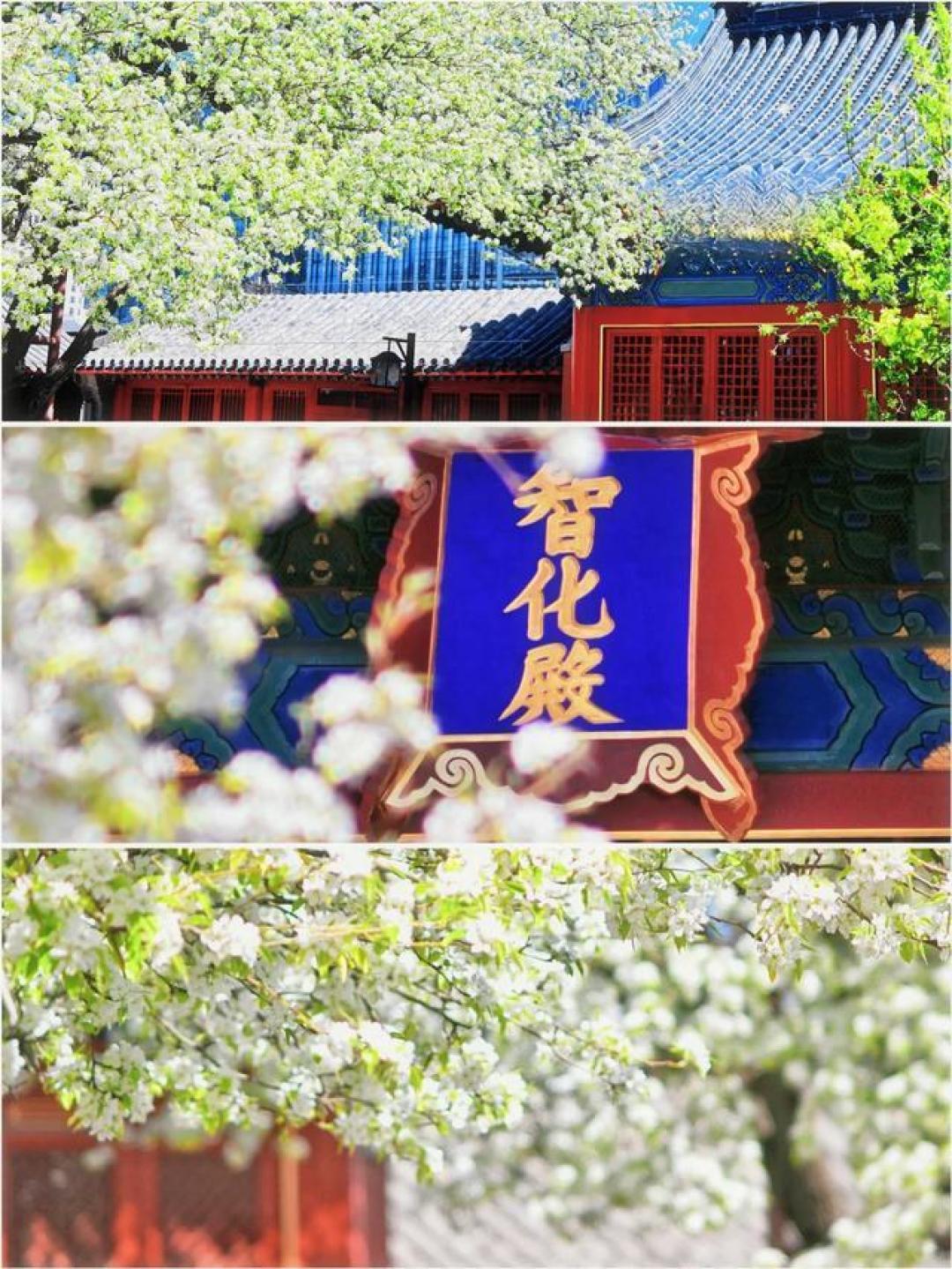 北京Citywalk出片天花板,这4条宝藏路线请收藏