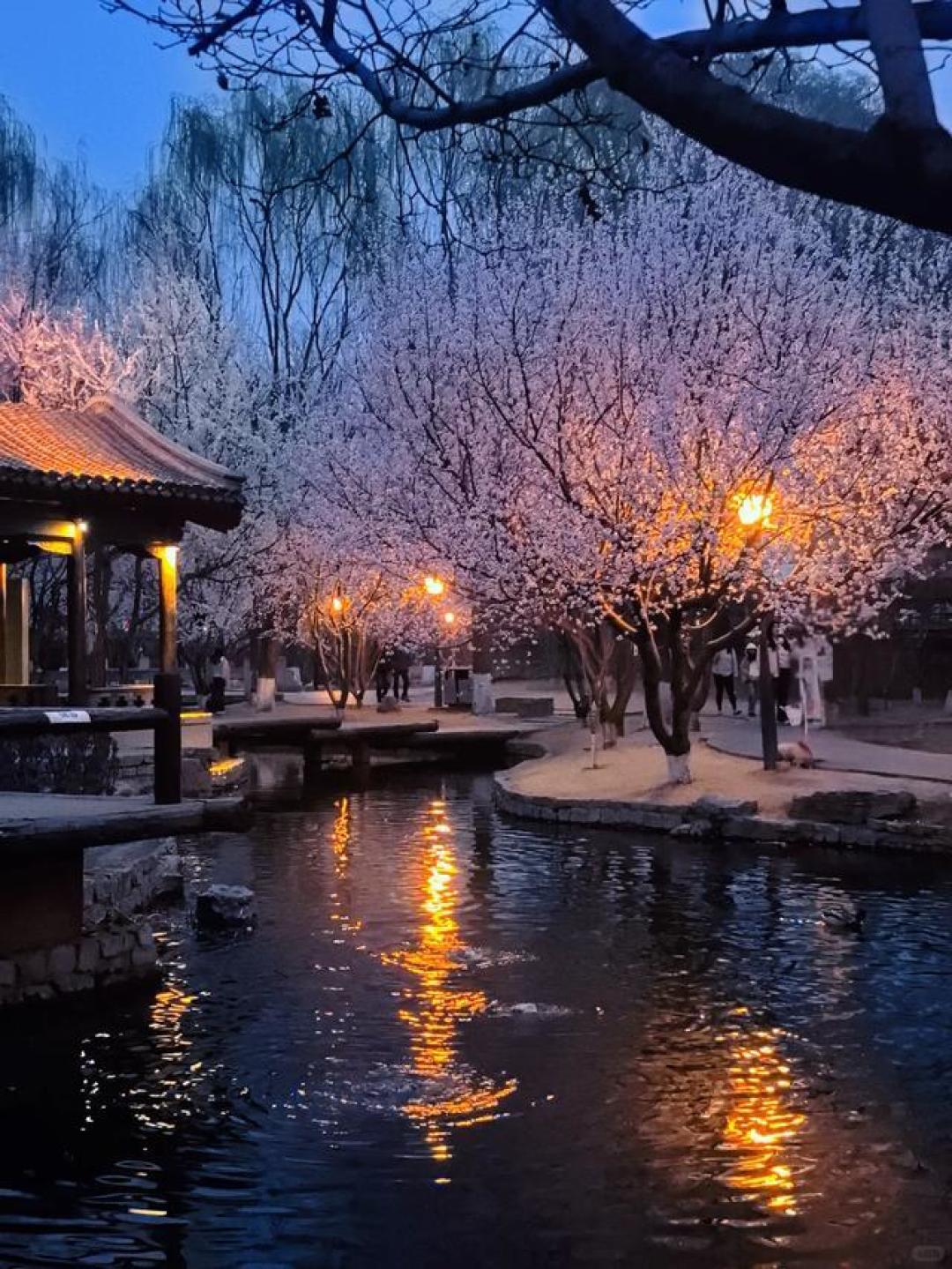 北京Citywalk出片天花板,这4条宝藏路线请收藏