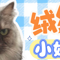 专为幼猫&玻璃胃定制！绒绒小奶糕猫粮