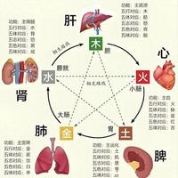 心3红，肝3青，脾3黄，肺3白，肾3黑，五色入药15味