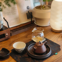 新手必看｜超全入门茶具指南