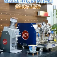 Wigomat GW75磨豆机3个月实测：核心参数与使用体验