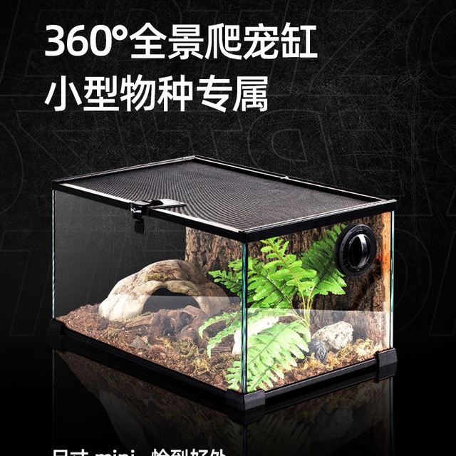 REPTIZOO AK 系列全景爬宠缸：小宠的精致安全之家