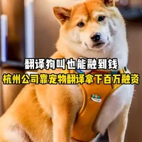 杭州初创公司Petichat获百万融资，AI宠物翻译器能否打通跨物种交互壁垒