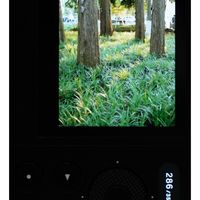 美丽废物-适马BF使用感受