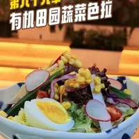 田园蔬菜沙拉制作全流程：从食材处理到出品的品质控制