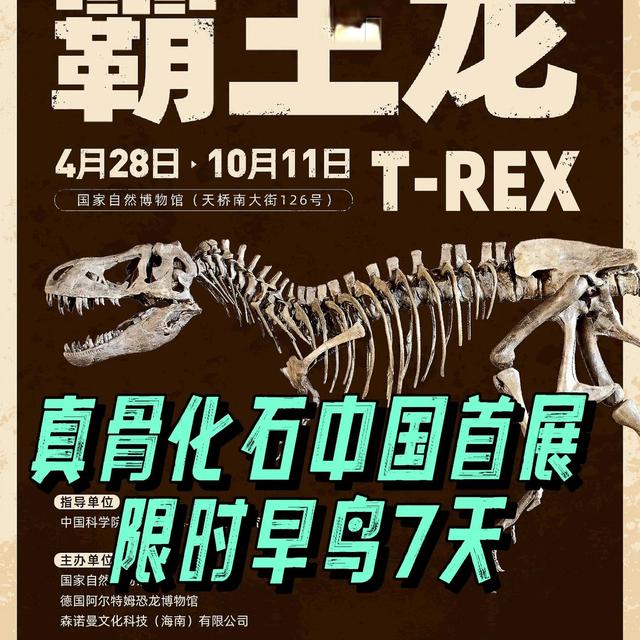 北京看展推荐｜霸王龙真骨化石首次来华🦖