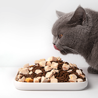 猫粮推荐：2026六大口碑主粮横向评测，国产VS进口